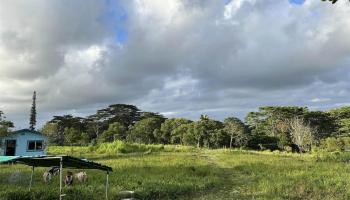 17-4224 Kuaaina Road  Kurtistown, Hi vacant land for sale - photo 5 of 25