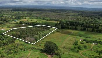 17-4531 South Road  Kurtistown, Hi vacant land for sale - photo 3 of 10