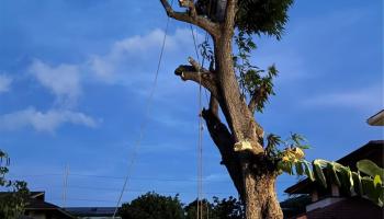 1751  Ahuula Street Kapalama, Honolulu home - photo 3 of 5