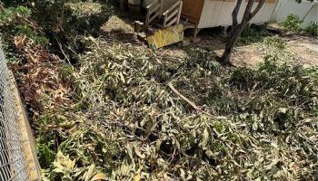 1751  Ahuula Street Kapalama, Honolulu home - photo 5 of 5