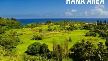 1815  Hana Hwy Hana, Maui home - photo 3 of 21
