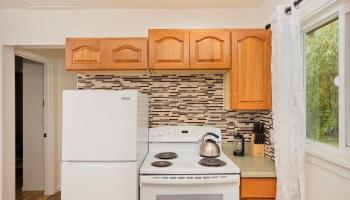 18-2274  Laulea Rd Orchid Isle Est, Puna home - photo 4 of 15