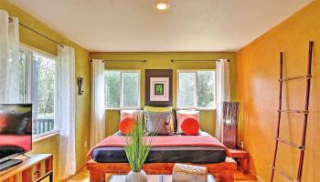 18-4011  Makuahine Rd Orchid Isle Est, Puna home - photo 6 of 24