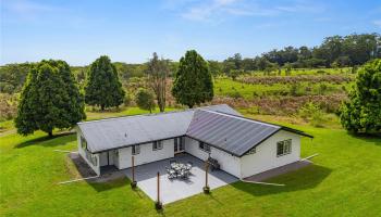 18-4099  Pszyk Road Mt View Subd, Puna home - photo 2 of 25