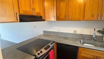 1848 Kahakai Dr Honolulu - Rental - photo 6 of 10