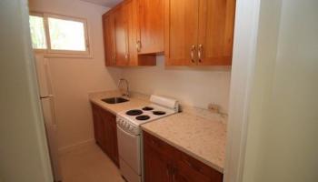 1849 Kaioo Dr Honolulu - Rental - photo 3 of 12