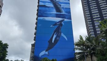 Royal Aloha condo # 806, Honolulu, Hawaii - photo 1 of 16