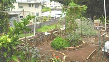 1923 Bachelot St Nuuanu-lower, Honolulu home - photo 4 of 6