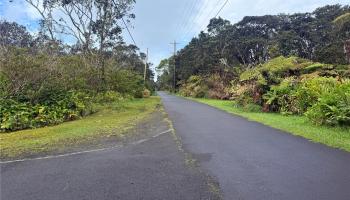19-3140 Mamaki Place  Hilo, Hi vacant land for sale - photo 2 of 4