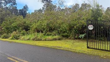 19-3140 Mamaki Place  Hilo, Hi vacant land for sale - photo 4 of 4