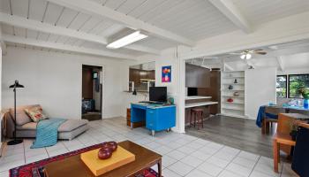 2002 Aamanu Street Pacific Palisades,  ,Hi 96782 - Photo