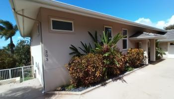 203 Heleuma Pl Kihei - Rental - photo 2 of 25