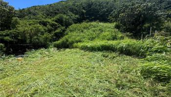 2062 Palolo Ave  Honolulu, Hi vacant land for sale - photo 2 of 8