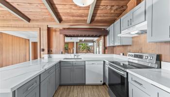 2093  Aaniu Loop Pacific Palisades, PearlCity home - photo 4 of 21