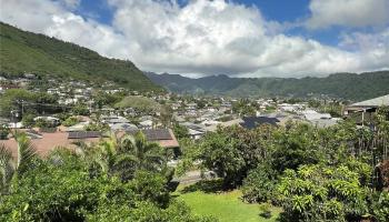 2110  Kakela Place Manoa-lower, Honolulu home - photo 4 of 25
