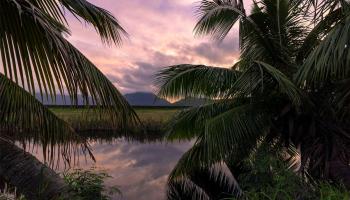 221 Kihapai St 2 Kailua, Hi vacant land for sale - photo 2 of 25