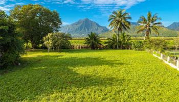 221 Kihapai St 2 Kailua, Hi vacant land for sale - photo 3 of 25