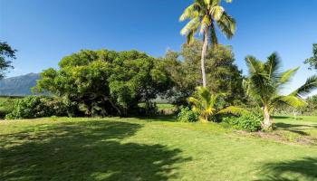 Na condo # 3, Kailua, Hawaii - photo 4 of 24