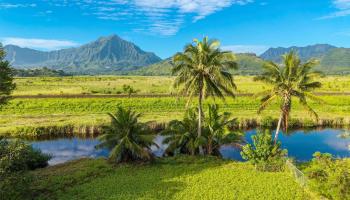 221 Kihapai Street  Kailua, Hi vacant land for sale - photo 3 of 24