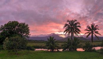 221 Kihapai Street  Kailua, Hi vacant land for sale - photo 6 of 24