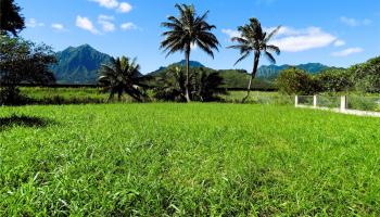 221 B Kihapai Street  Kailua, Hi vacant land for sale - photo 1 of 19