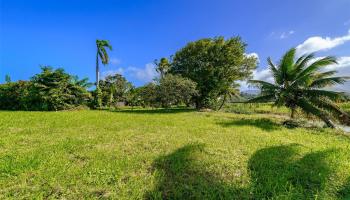 221 B Kihapai Street  Kailua, Hi vacant land for sale - photo 4 of 19