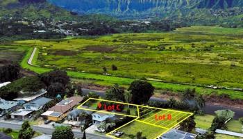 221 B Kihapai Street  Kailua, Hi vacant land for sale - photo 5 of 20