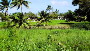 221 B Kihapai Street  Kailua, Hi vacant land for sale - photo 6 of 19