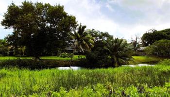 221 C Kihapai Street  Kailua, Hi vacant land for sale - photo 1 of 20