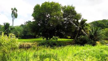 221 C Kihapai St  Kailua, Hi vacant land for sale - photo 2 of 19