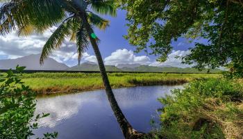 221 C Kihapai Street  Kailua, Hi vacant land for sale - photo 2 of 20