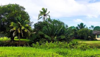 221 C Kihapai St  Kailua, Hi vacant land for sale - photo 3 of 19