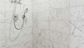 223 Saratoga Rd Honolulu - Rental - photo 3 of 25