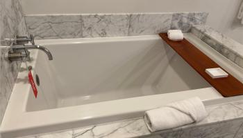 223 Saratoga Rd Honolulu - Rental - photo 5 of 18