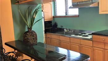 225 Liliuokalani Ave Honolulu - Rental - photo 3 of 25