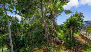 2335  Amokemoke Street Pacific Palisades, PearlCity home - photo 5 of 25