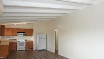 234 Moomuku Pl Honolulu - Rental - photo 4 of 17