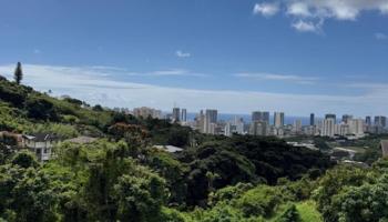 2343  Tantalus Drive Papakolea, Honolulu home - photo 5 of 14