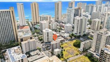 Photo of Hawaiian Crown