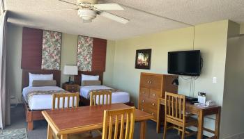 Photo of Pacific Monarch