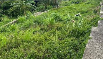 2448 Nalanieha Street Honolulu, Hi vacant land for sale - photo 6 of 17