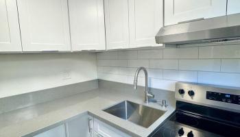 245 Iolani Ave Honolulu - Rental - photo 3 of 6