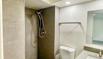 245 Iolani Ave Honolulu - Rental - photo 4 of 6