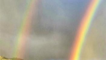 Mt Terrace condo # 8B, Honolulu, Hawaii - photo 2 of 24