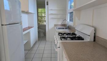 2519 Lai Road Palolo, Diamond Head home - photo 5 of 25 2519 Lai Road Palolo, Diamond Head home - photo 5 of 25