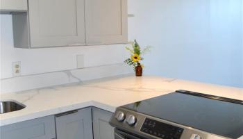 2542 Date Street Honolulu - Rental - photo 2 of 19