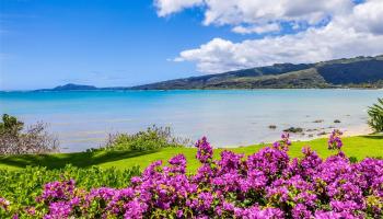 255 & 257  Portlock Rd Portlock, Hawaii Kai home - photo 5 of 25