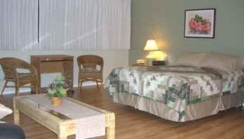 2572 Lemon Road Honolulu - Rental - photo 1 of 8