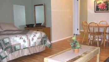 2572 Lemon Road Honolulu - Rental - photo 2 of 8