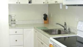 2572 Lemon Road Honolulu - Rental - photo 4 of 8